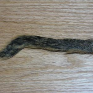 Squirrel Tail Natural